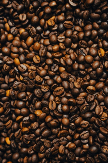 coffee beans